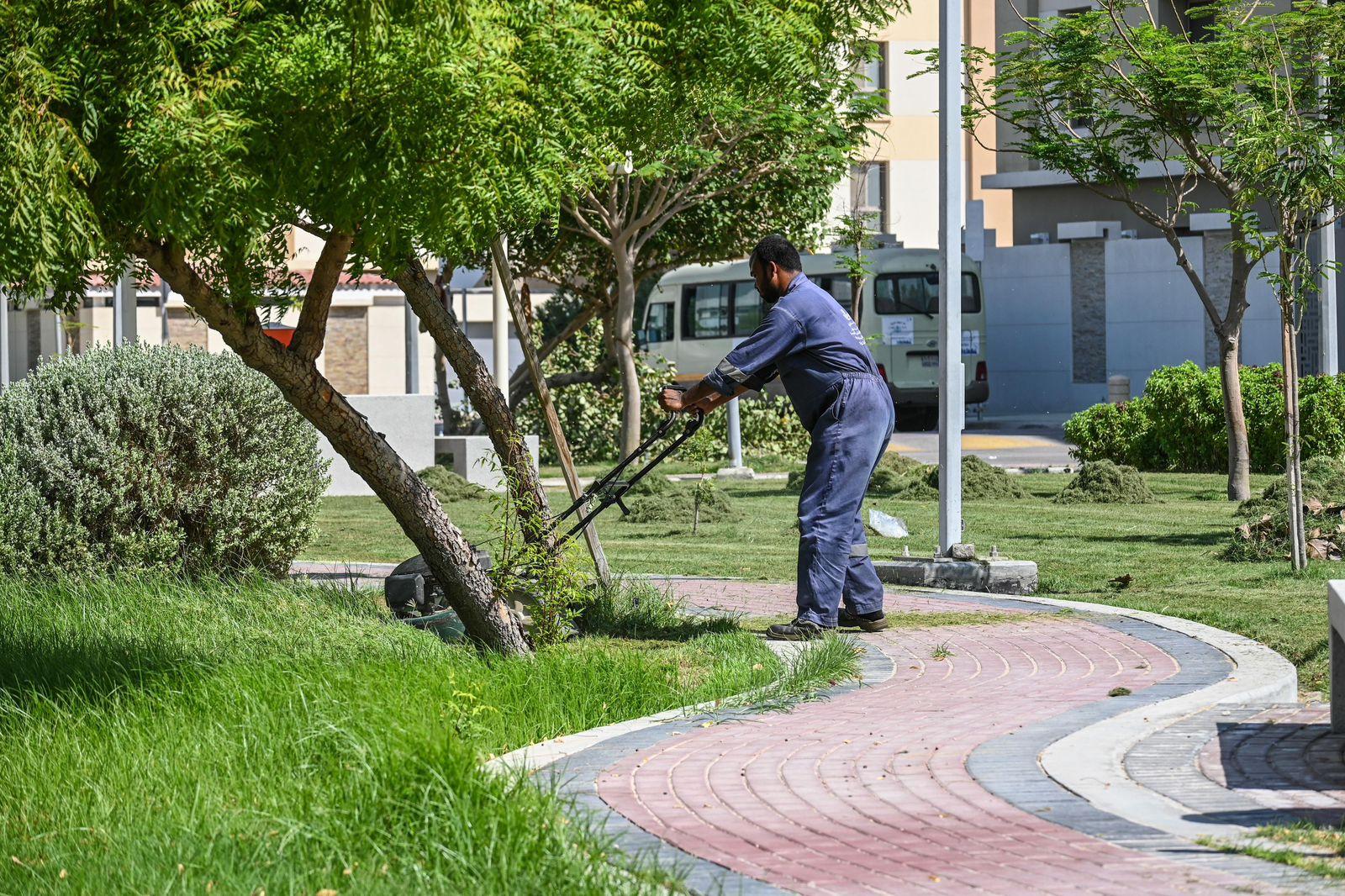 تحسين الحدائق