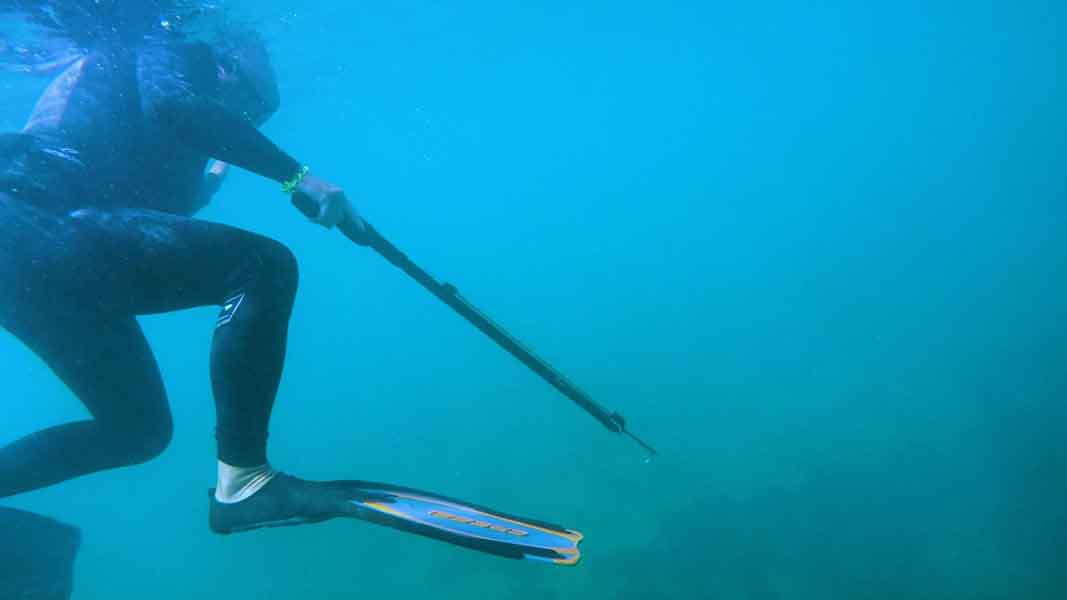 Spear Fishing